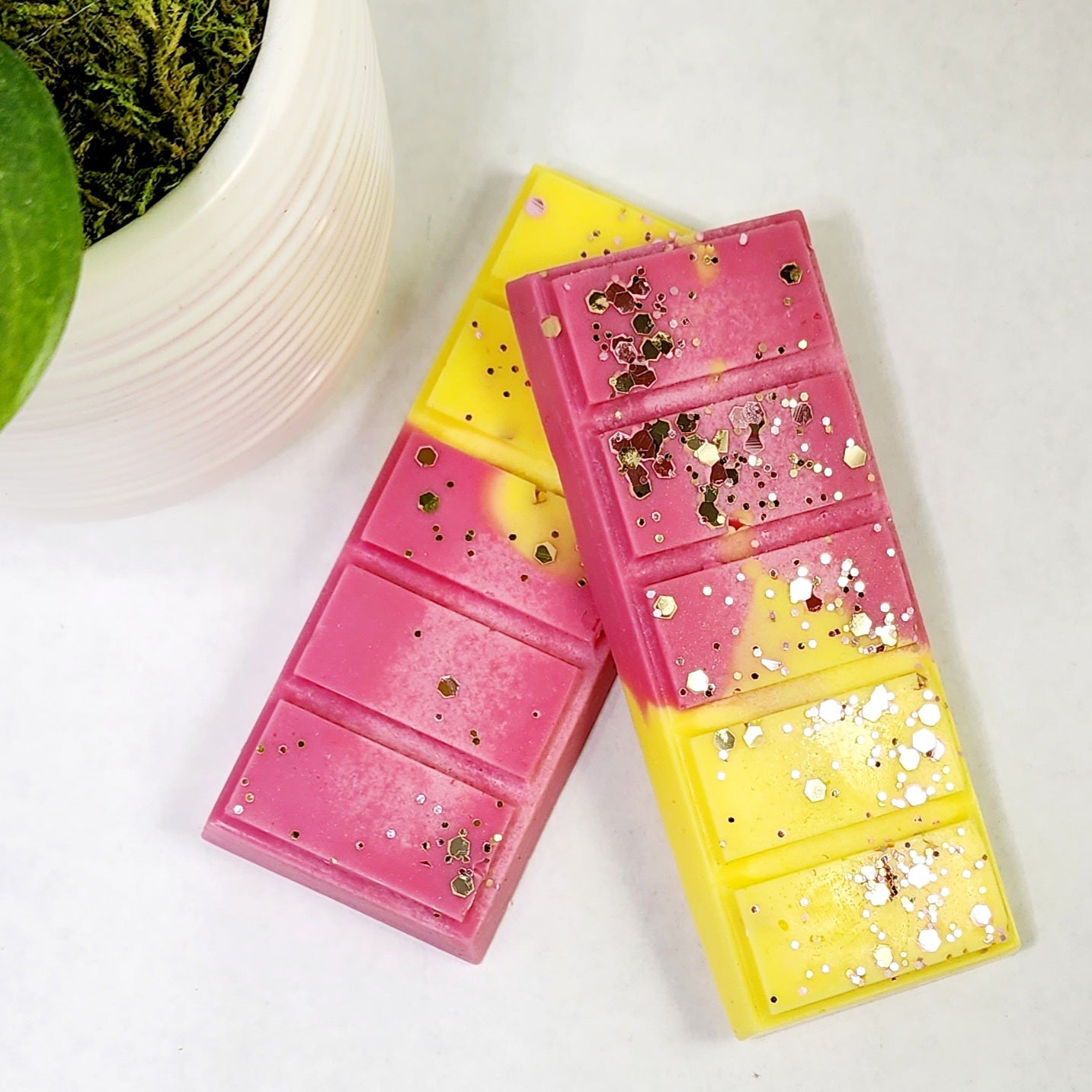 Tropical Escape Wax Snap Bar Diana's Candles and Soaps
