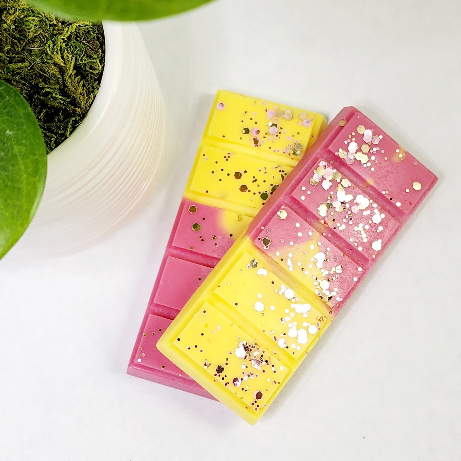 Tropical Escape Wax Snap Bar Diana's Candles and Soaps