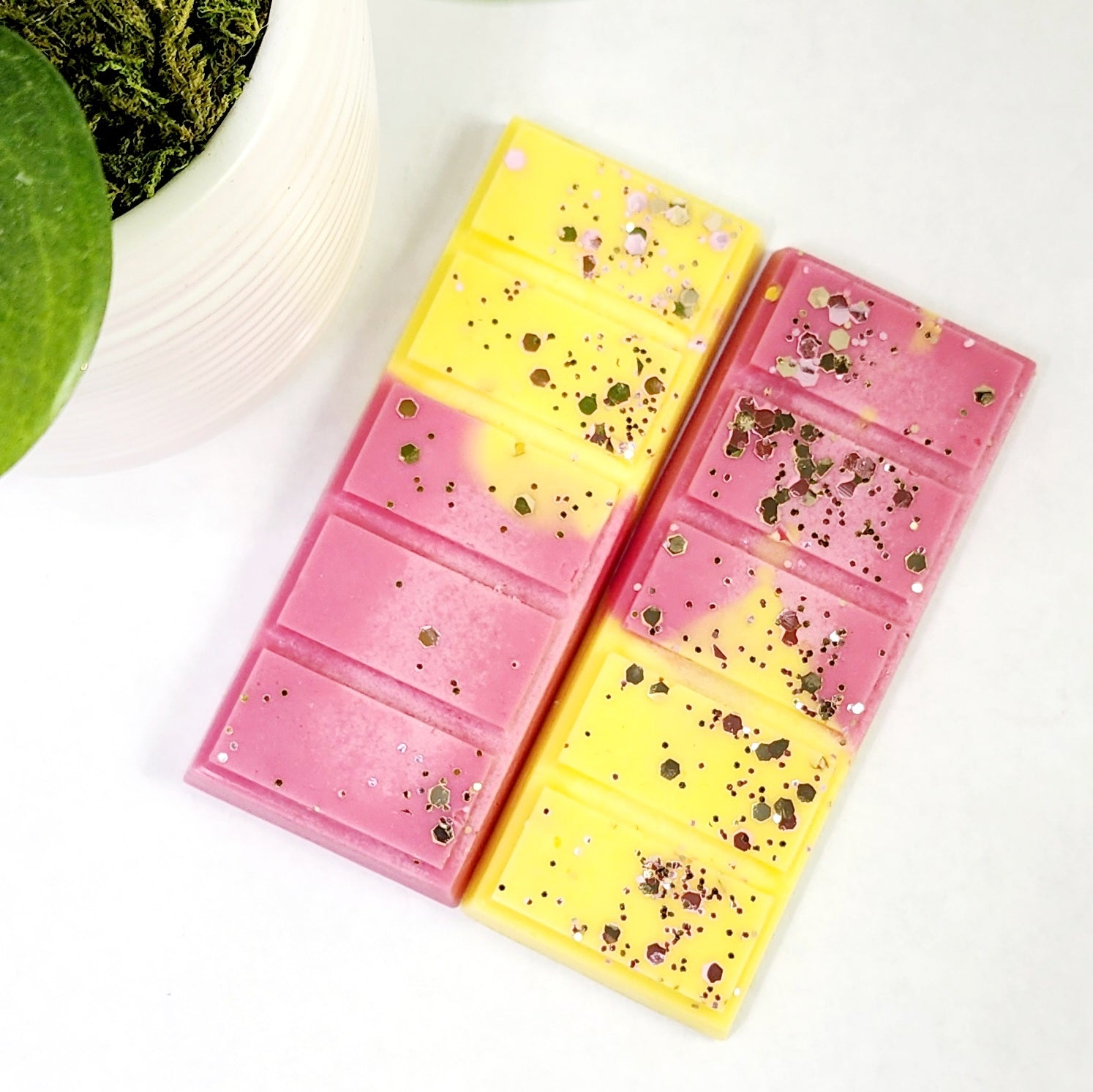 Tropical Escape Wax Snap Bar Diana's Candles and Soaps