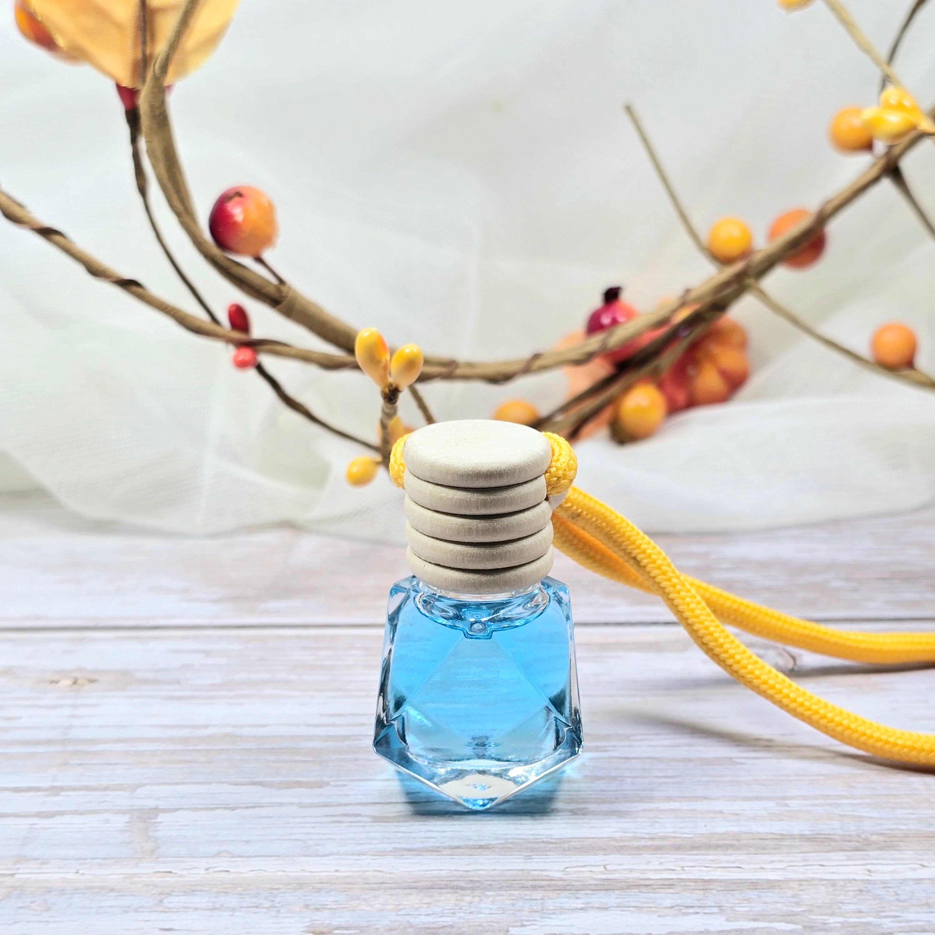 Autumn Breeze Car Diffuser Diana's Candles and Soaps