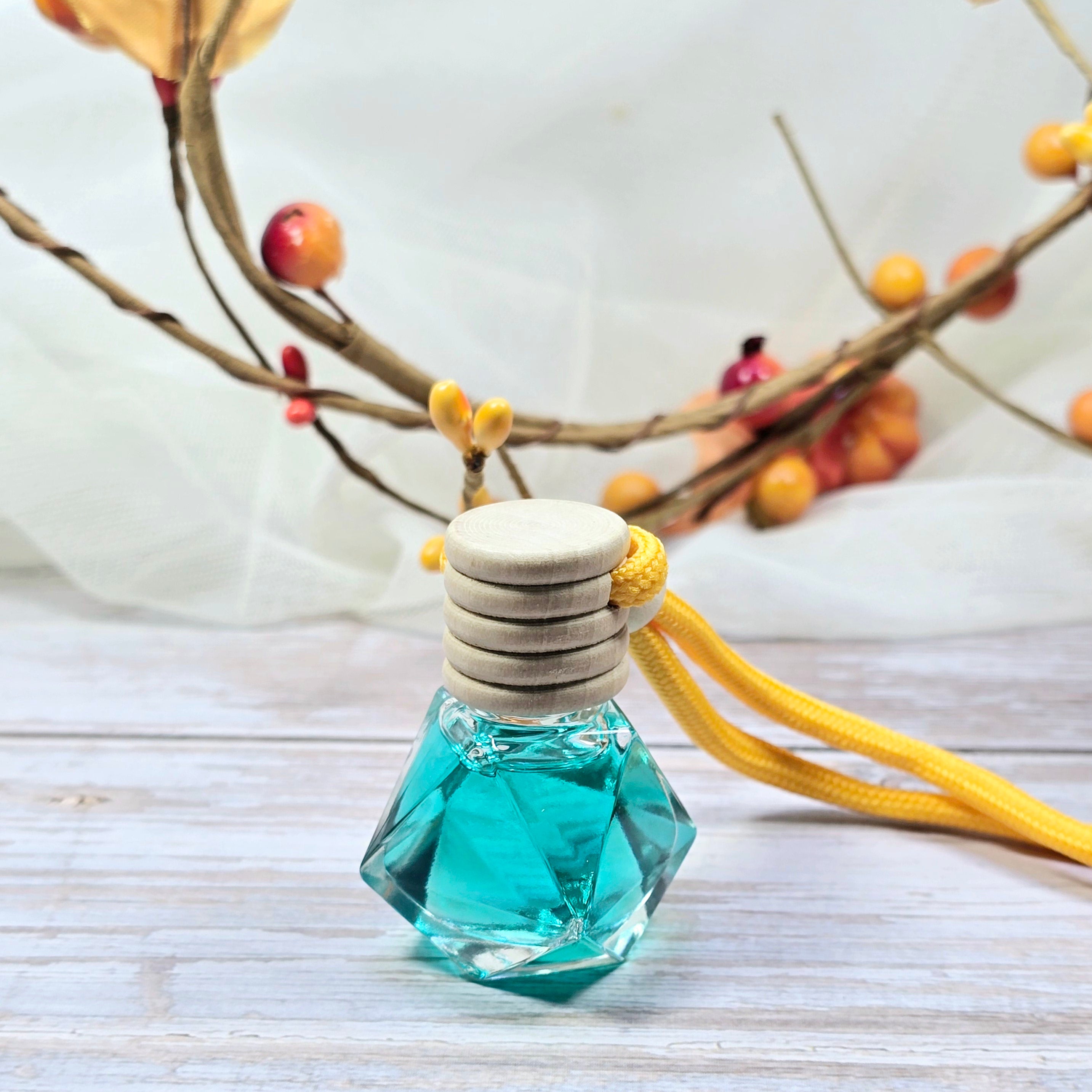 Non-toxic long-lasting hanging car air freshener with ocean-inspired aroma