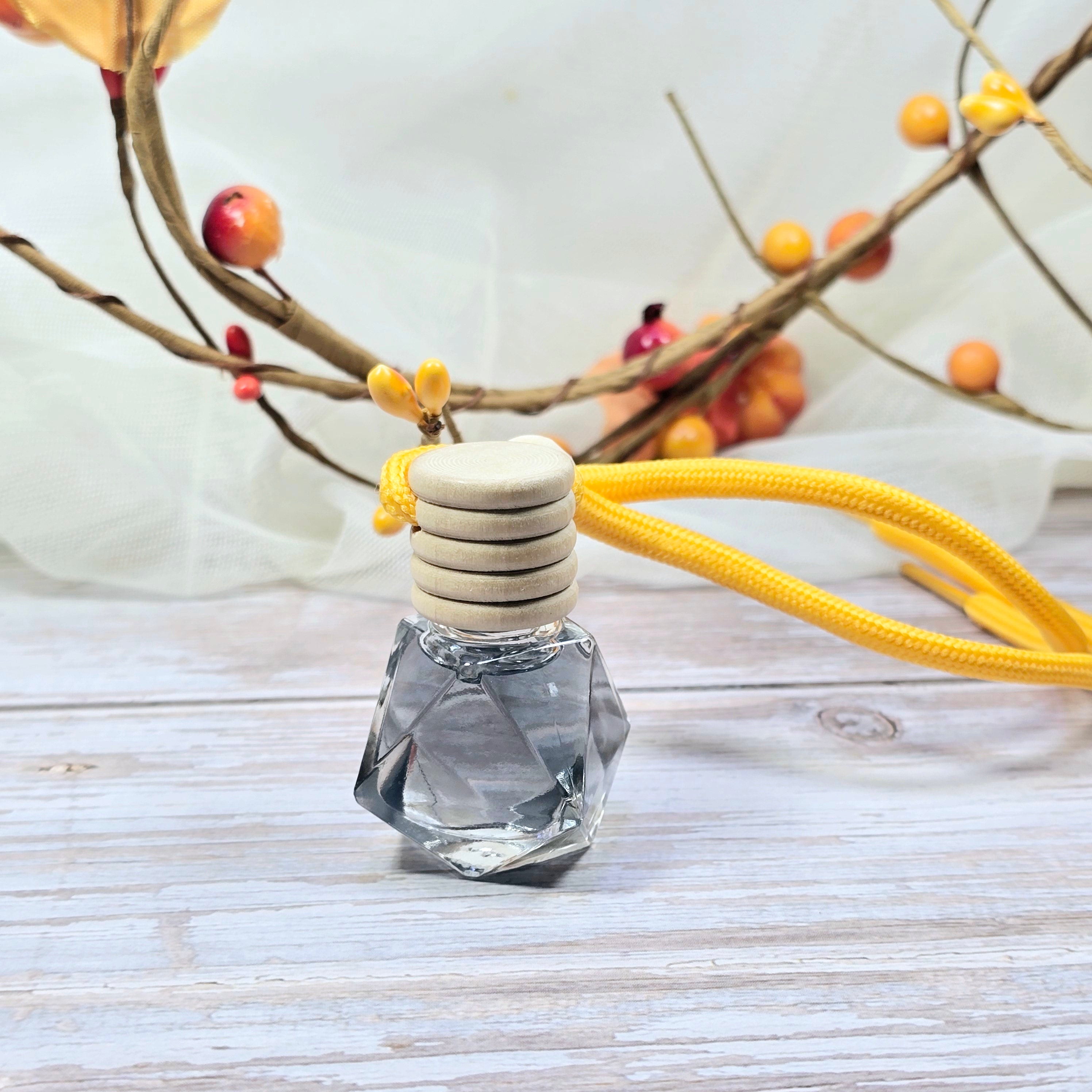Black Ice hanging car diffuser with citrus, lavender, lily of the valley, jasmine, musk, and ambergris fragrance