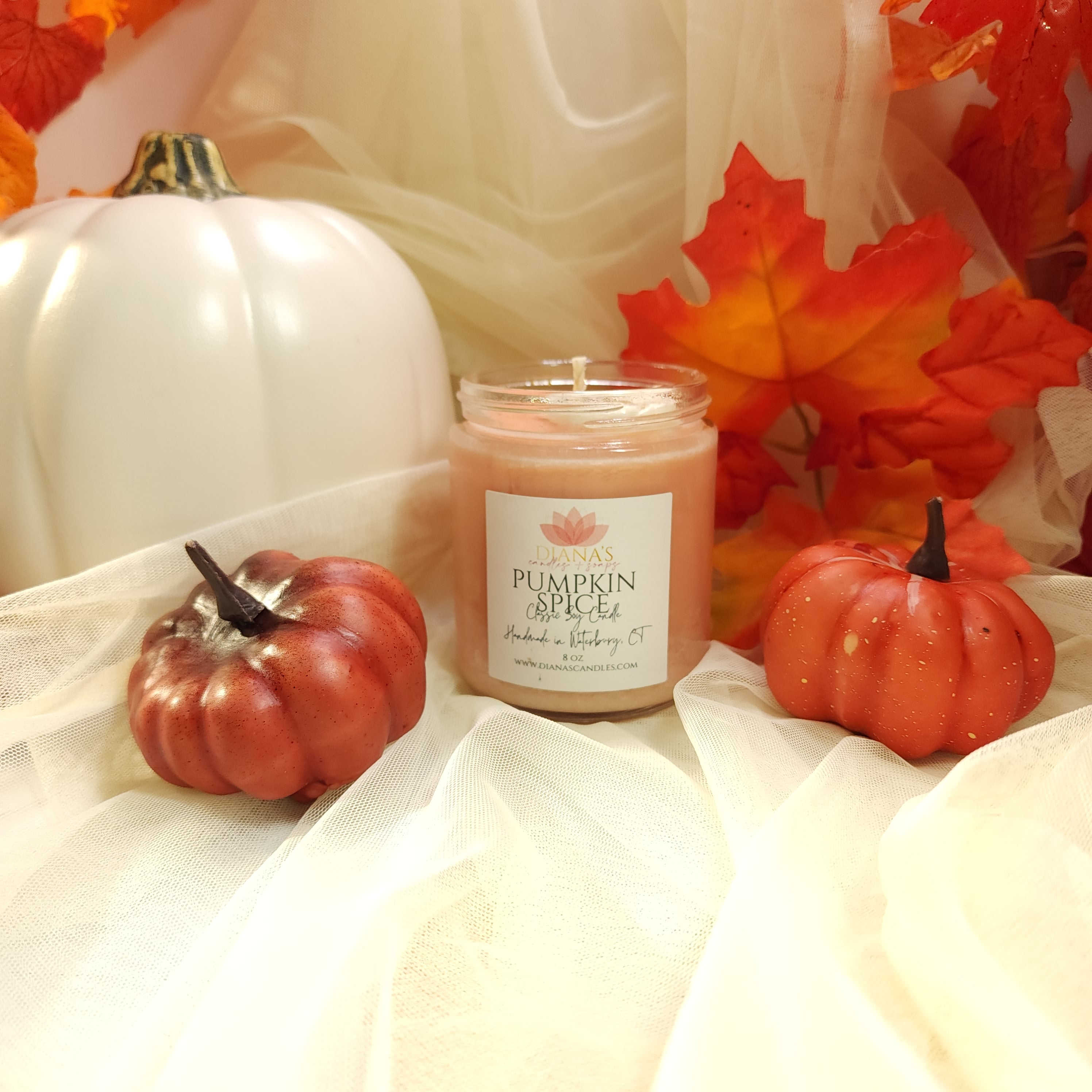 Pumpkin Spice Jar Candle Diana's Candles and Soaps 