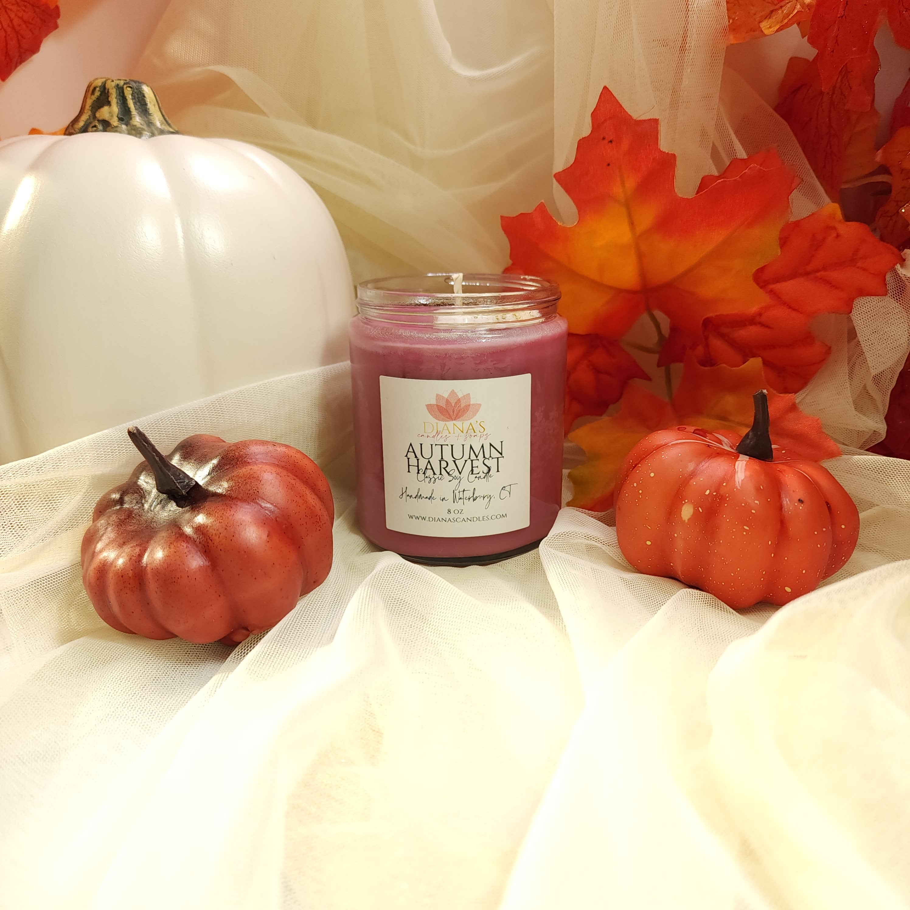 Autumn Harvest Jar Candle Diana's Candles and Soaps 