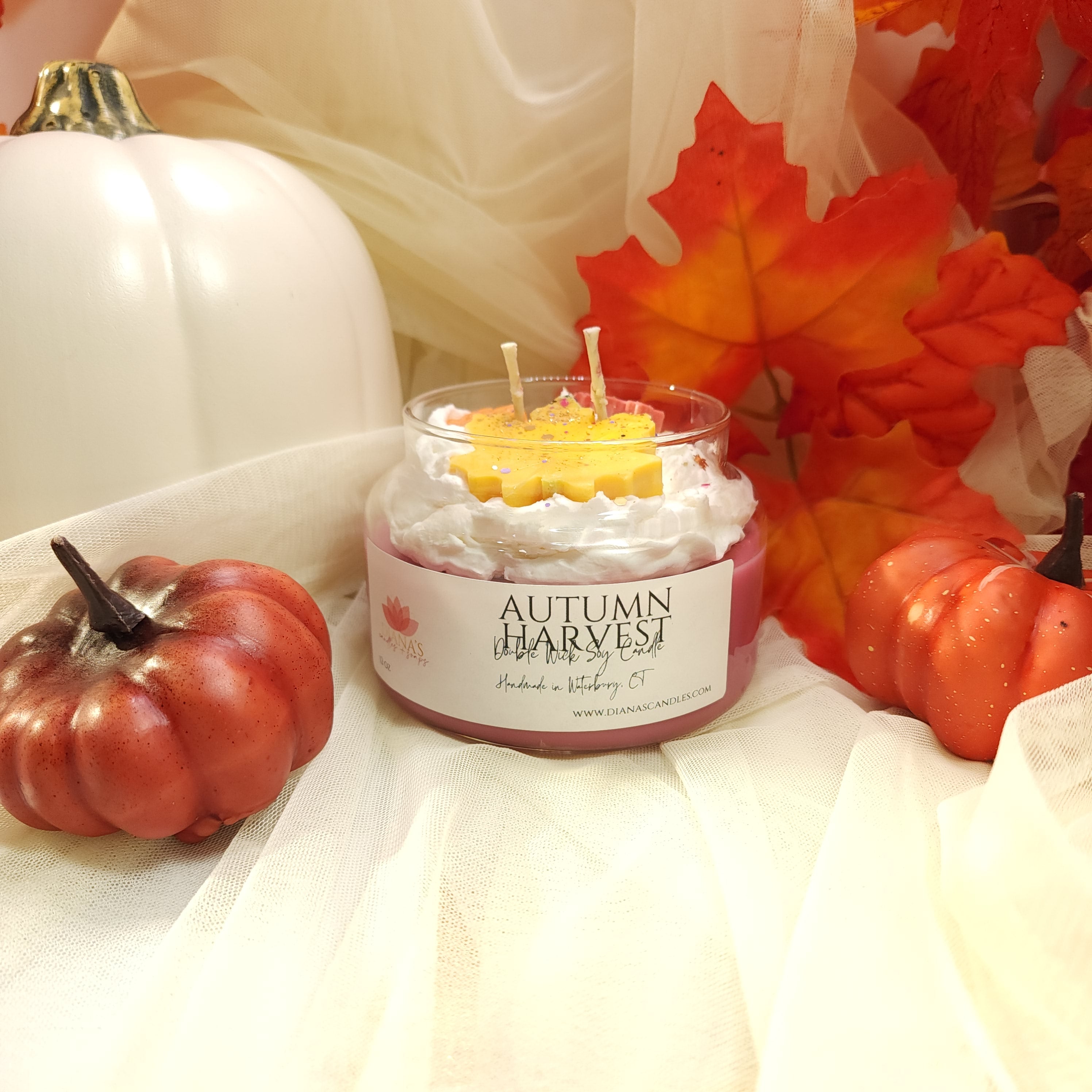Autumn Harvest Double Wick Diana's Candles and Soaps 