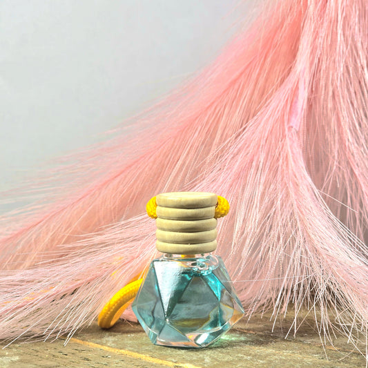 Caribbean Breeze Car Diffuser Diana's Candles and Soaps